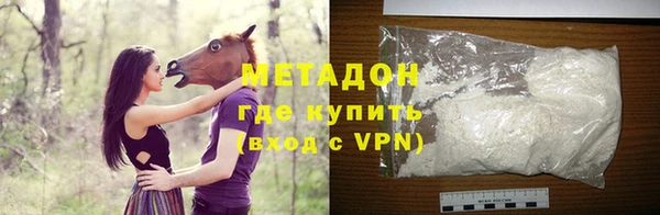 индика Волоколамск
