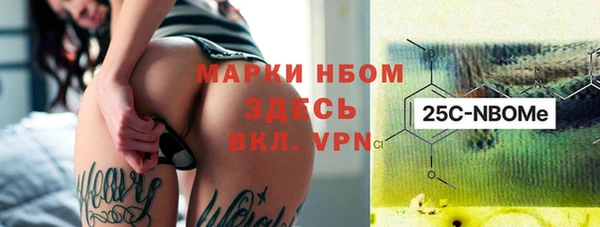 индика Волоколамск