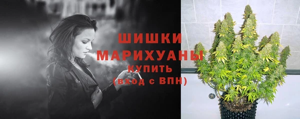 гашик Володарск