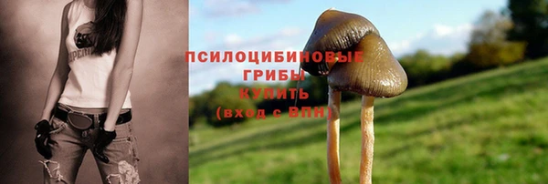 марки lsd Сосновоборск
