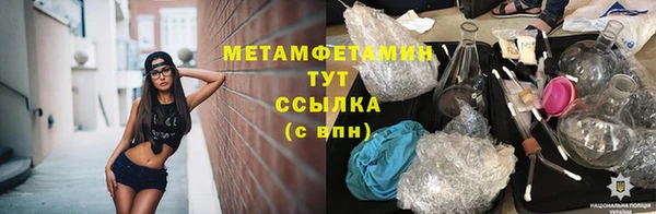 стафф Вязьма