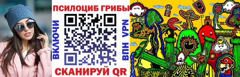 Псилоцибиновые грибы прущие грибы  Лихославль 